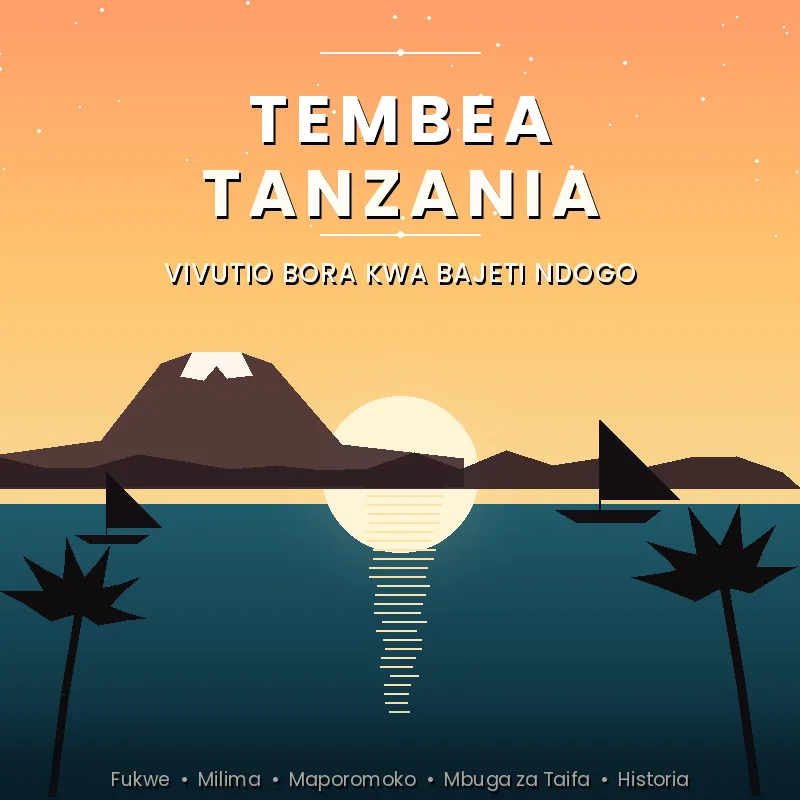 TEMBEA TANZANIA - Vivutio Bora vya Kutembelea kwa Bajeti Ndogo