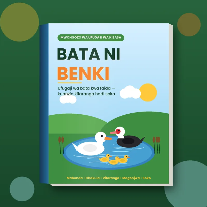 Bata ni Benki: Mwongozo Kamili wa Ufugaji wa Bata kwa Faida, Kuanzia Kifaranga Hadi Soko